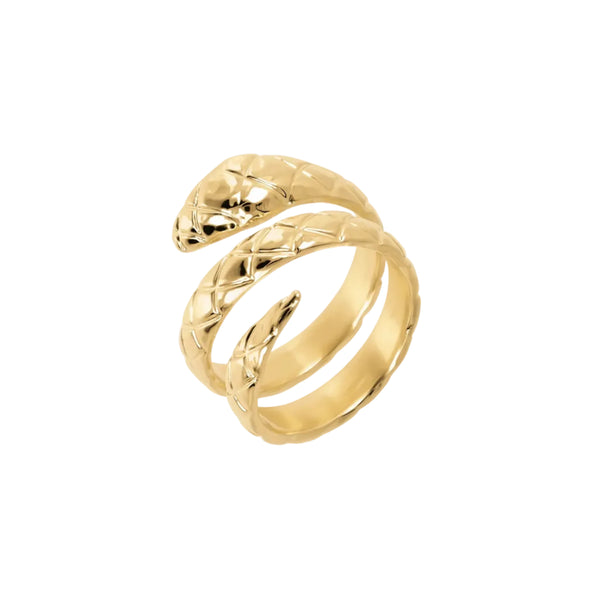 Anello Etrusca a Fascia Serpente Martellato WSET00659.YG