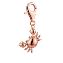 Charm