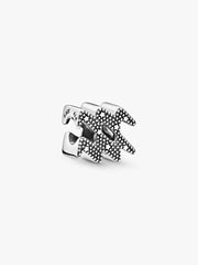 Charm Pandora Acquario 798415C01