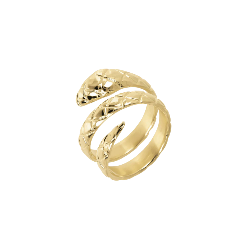 Anello Etrusca a Fascia Serpente Martellato