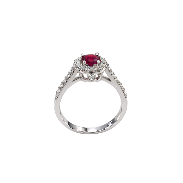 Anello Davide&Delucchi in Oro Bianco con Rubino e Diamanti AA031556RB