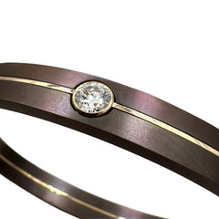 Bracciale Giorgio Visconti da Uomo in Titanio Oro e Diamante -