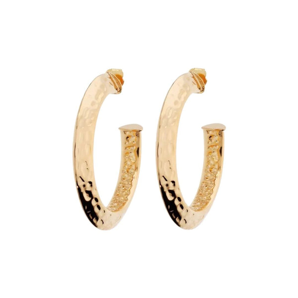 Etruscan Hoop Earrings in 18KT Yellow Gold