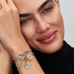 Charm Pandora Medallion Toro 764986C01