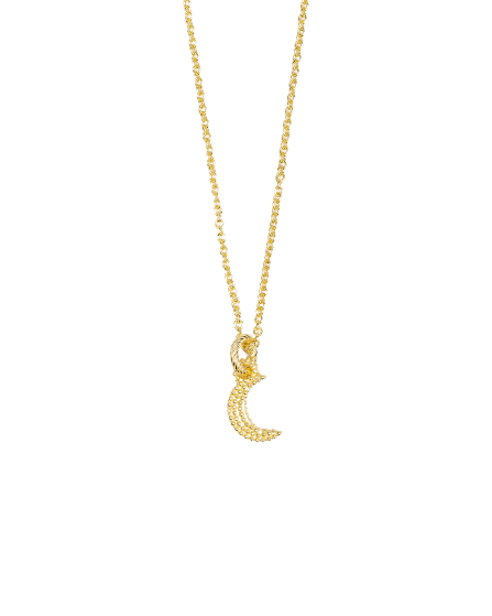 Collar con colgante de luna bañado en oro Nove25
