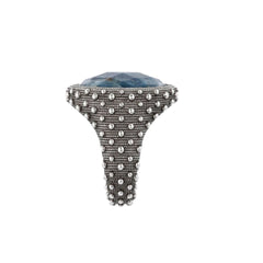 Anello Albert M. Chevalier Texture Riccio di Mare con Apatite WSOX00399.AP-62