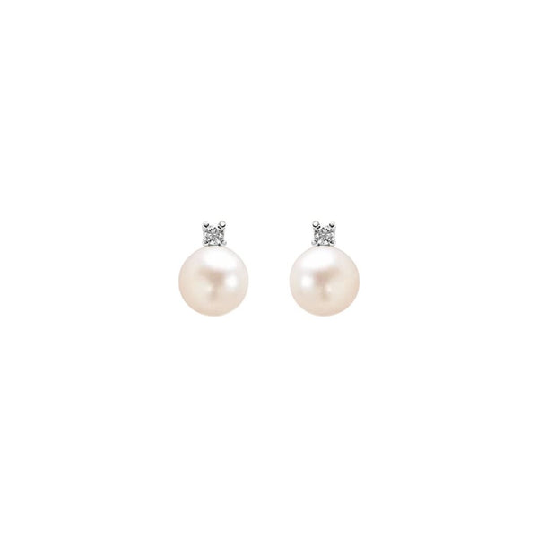 Orecchini Stroili Lobo Gabrielle Oro Bianco 9 KT Perla D'Acqua Dolce 6/6,5 mm 1413473