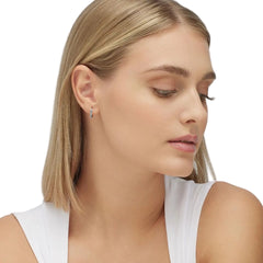 Mono Orecchino Brosway Fancy FFB81