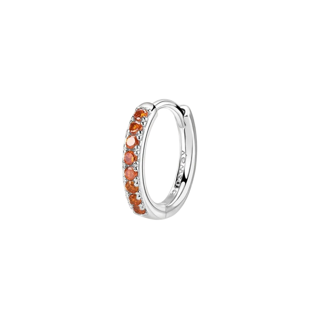 Mono Orecchino Brosway Fancy FVO16