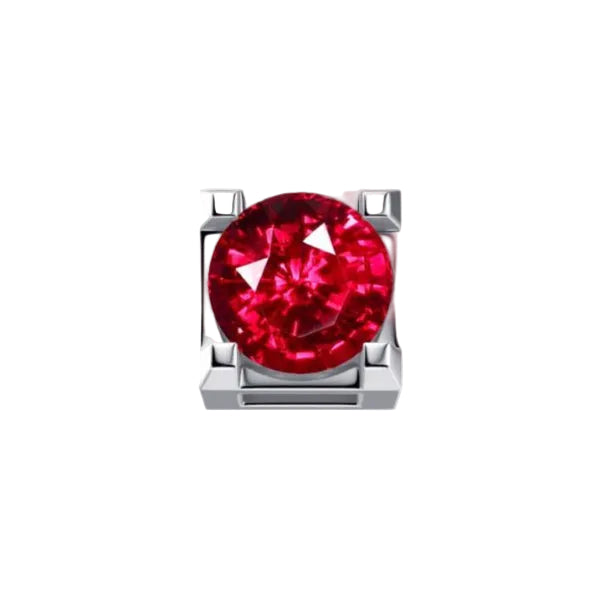 Charm Elements Griffe In Oro Bianco Con Rubino 0,05 ct DCHR7244.005