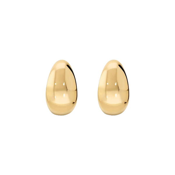 Orecchini a Cerchio Goccia Lucidi WSBZ02512Y.YG