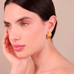 Bronzallure Polished Leaf Earrings WSBZ02532Y.YG