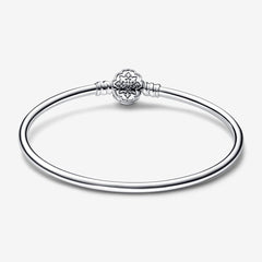 Pandora Disney Bracelet, Aladdin