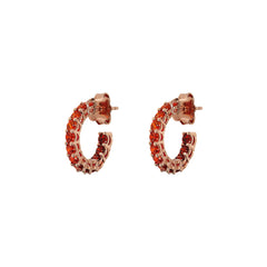 Orecchini Bronzallure A Cerchio Con Cubic Zirconia Effetto Dégradé Piccoli -