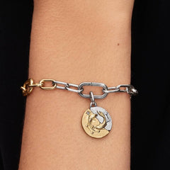 Charm Pandora Medallion Pesci 764991C01