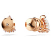 Orecchini Swarovski a Lobo Stilla Taglio Goccia Placcati Oro Rosa 5734248